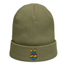 Load image into Gallery viewer, Peace Sign Gay Pride Beanie | j and p hats